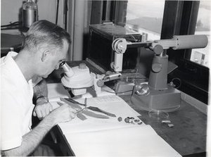 Kukachka, Bohumil Francis