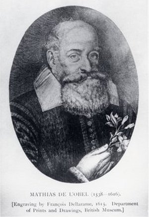 L’Obel, Matthias de