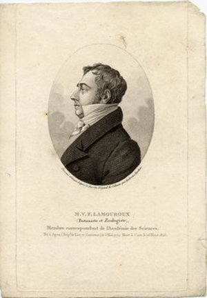 Lamouroux, Jean Vincent Felix