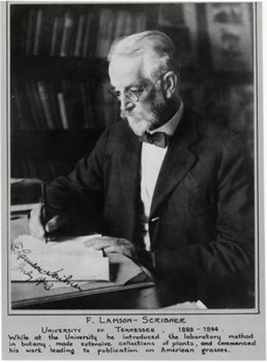 Lamson-Scribner, Frank