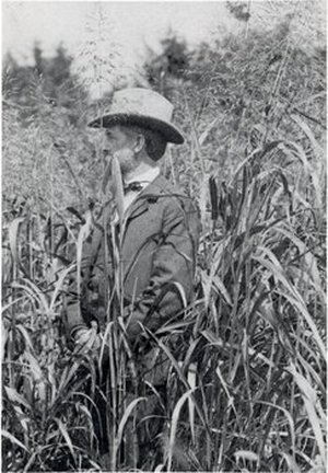 Lamson-Scribner, Frank