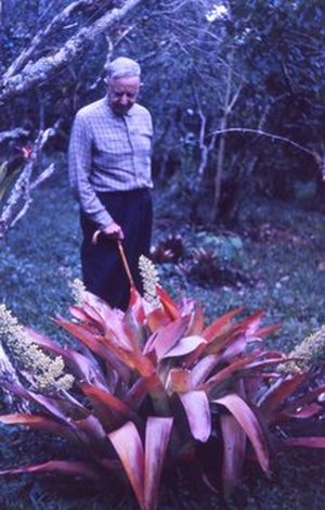 Lankaster, Don Carlos