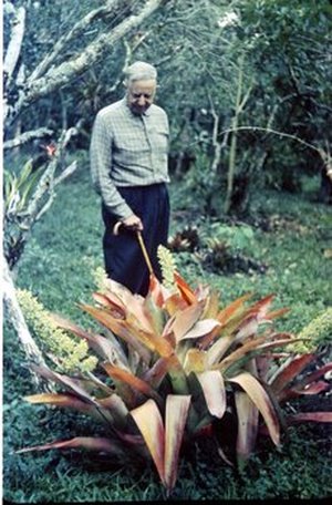 Lankaster, Don Carlos
