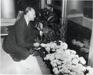 Lawrence, George Hill Mathewson