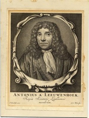 Leeuwenhoek, Antoni Van