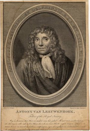 Leeuwenhoek, Antoni Van