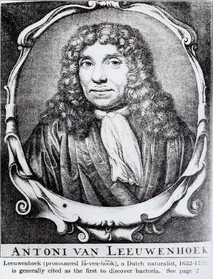 Leeuwenhoek, Antoni Van