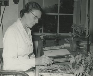 Letty, Cythna Lindenberg