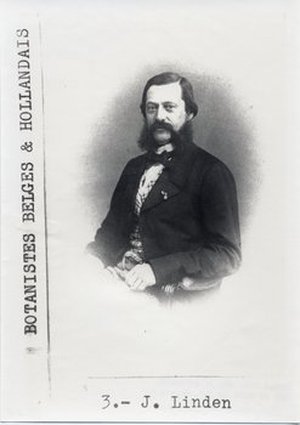 Linden, Jean Jules