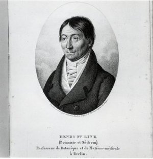 Link, Heinrich Friedrich