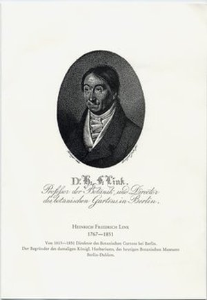 Link, Heinrich Friedrich
