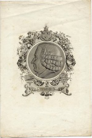 Linnaeus, Carolus