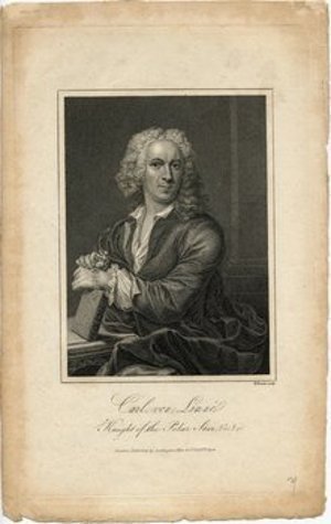 Linnaeus, Carolus