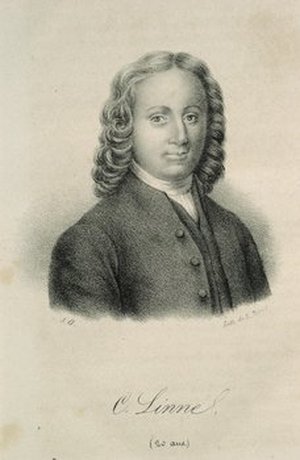 Linnaeus, Carolus