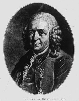Linnaeus, Carolus