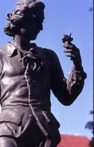 Linnaeus, Carolus