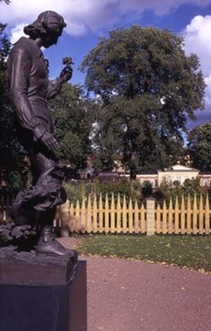 Linnaeus, Carolus