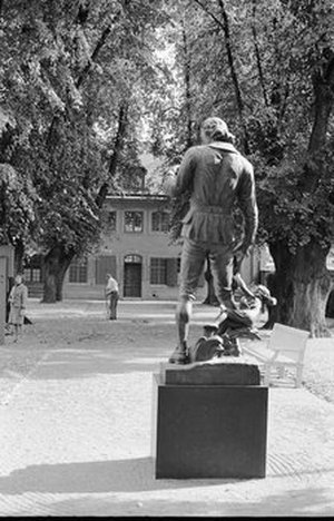 Linnaeus, Carolus