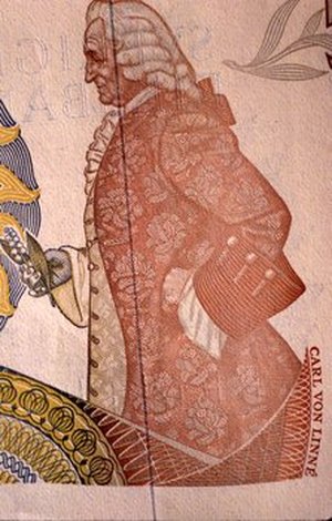 Linnaeus, Carolus