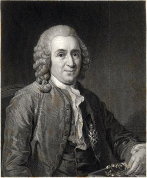 Linnaeus, Carolus