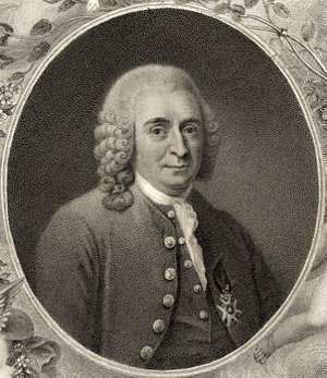 Linnaeus, Carolus