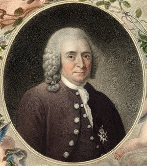 Linnaeus, Carolus