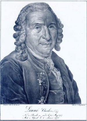Linnaeus, Carolus
