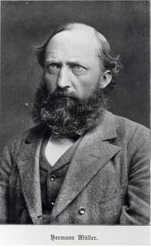 Müller, Heinrich Ludwig Hermann