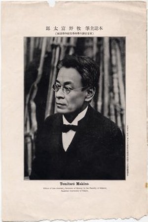 Makino, Tomitaro