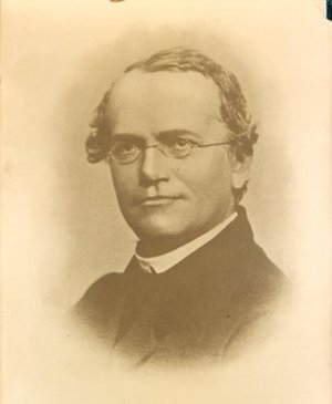Mendel, Johann Gregor