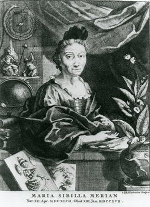 Merian, Maria Sibylla