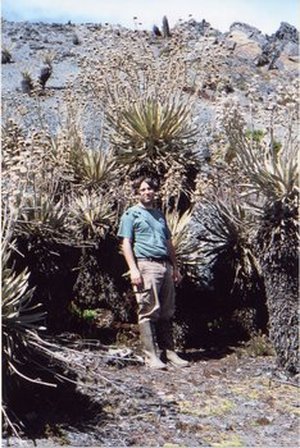 Michelangeli, Fabián Armando