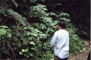 Michelangeli, Fabián Armando