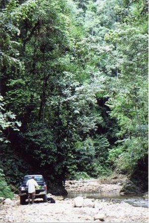 Michelangeli, Fabián Armando