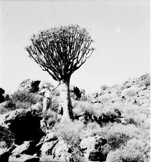 Middlemost, Alexander John Milner
