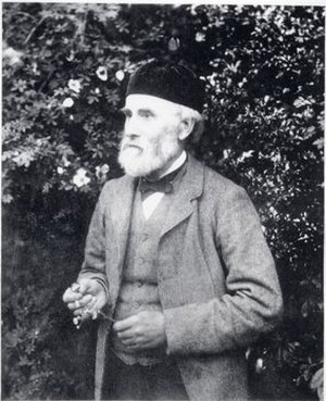Mitten, William