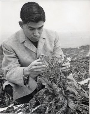 Miyahara, Masanabu
