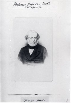 Mohl, Hugo von