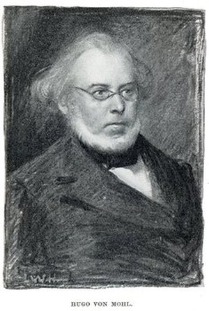 Mohl, Hugo von