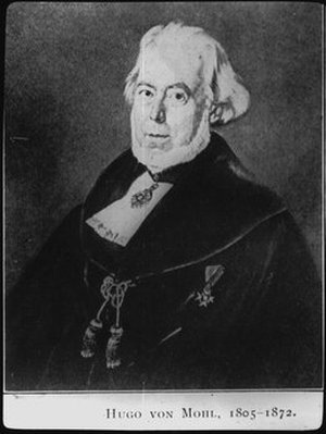 Mohl, Hugo von