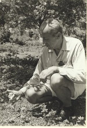 Morrison, Benjamin Yoe