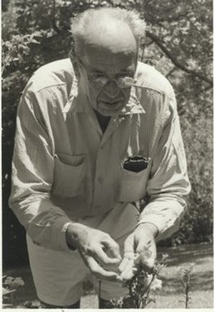 Morrison, Benjamin Yoe