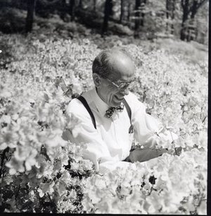 Morrison, Benjamin Yoe