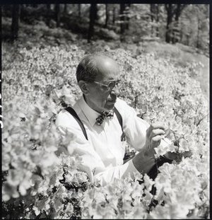 Morrison, Benjamin Yoe