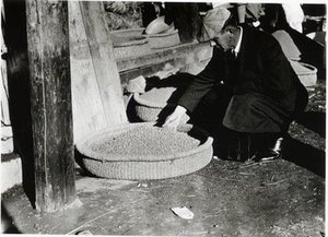 Morse, William Joseph