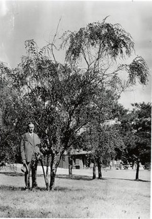 Morse, William Joseph