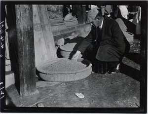 Morse, William Joseph