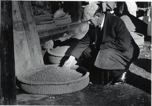 Morse, William Joseph