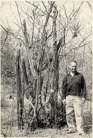 Morton, Conrad Vernon