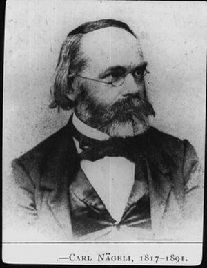 Nägeli, Carl Wilhelm von